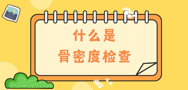【雙能x線骨密度儀】什么是骨密度檢查？該怎么查？